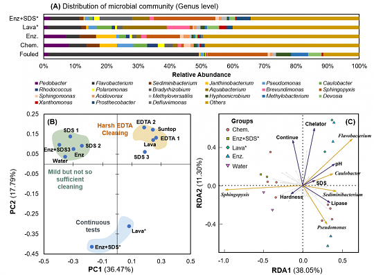 ���xľ�~(y��)ʯ�V�����a(ch��n)�S(ch��ng)��øϴ�ɾ����ɶ������l(f��)�ķ��B͸Ĥ����(f��)��Ⱦ��(w��n)�}
