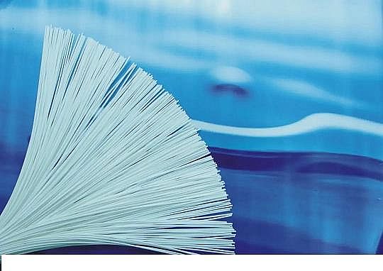 ���|(zh��)���w�S��?y��n)V�ϏS���҇�(gu��)�п��w�SĤ���g(sh��)�c�a(ch��n)�I(y��)�l(f��)չ��(zh��n)���о�