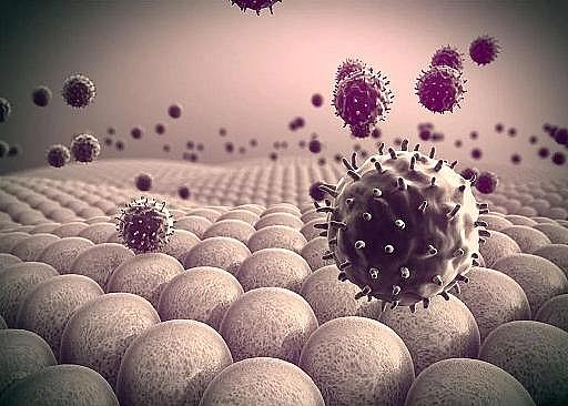 �o��ú�V��0.8-1mm�S���ձ��аl��߸߲���ȥ���ʺ͸�ͨ����ȫ�³��VĤ