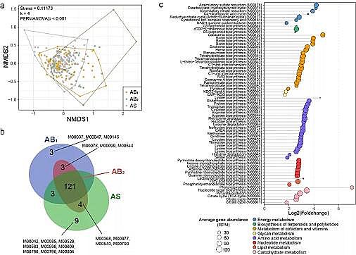 ��Ʒ�|(zh��)��������������MBBR�S��������Ĥ�p��΢����Դ�ܽ����ЙC(j��)�����ŷ�