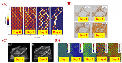 �h(hu��n)���o��ú�V�ϏS��ˮ̎���þ�ʽĤ�M���Mˮ���W(w��ng)�������c���܃�(y��u)��