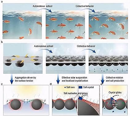 ���xú�|(zh��)�w������̿���a(ch��n)�S�����~ȺЧ��(y��ng)���l(f��)��̫�(y��ng)��ˮ�}���x����