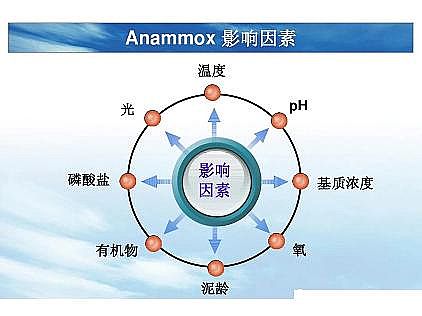 ���|�������͚��������a�S��һ���f͸������������ˇ