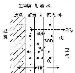 ���x�����ɽ�r�V�����a�S��ʲô������Ĥ?