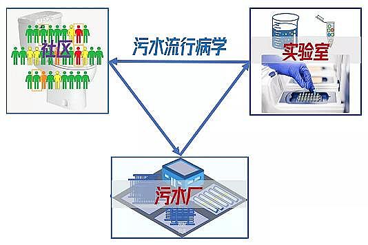 ��Ʒ�|�ۺ��Ȼ��F���a�S�ҡ�������36�N�z�y��ˮ���¹ڲ����������z�y��ˮ���Ը�ۙ�¹ڲ����Ă���څ��