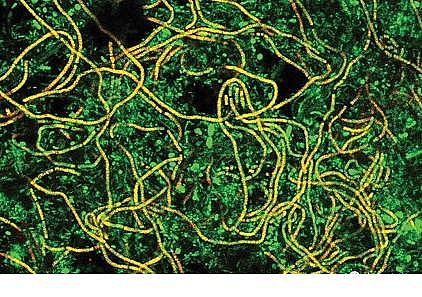 �ϵ���x�Ӿ۱�ϩ����HPAM���a(ch��n)�S��​����ˮ�S�����\�а����Ć��}����̽ӑ��ˮ�S�Č�����n�}�о�