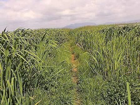 �ϵ������ɽ�r�V�ϏS�ҽ��x|���˹����ˮ�|�������gָ�ϡ�����˼·�c�wϵ