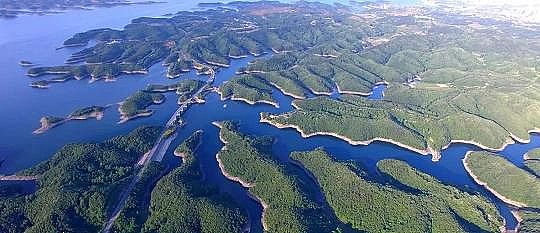 �ϵȷ��x�Ӿ۱�ϩ����NPAM�S�������h(hu��n)����˾�����¡����Ƿ��A������4�f����!�������}��ν��}?