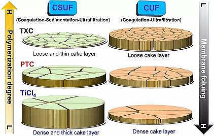 ȫ�¾ۺ��Ȼ��XPAC�S����}�ڻ���ȥ��΢��Ⱦ�Ｐ�p��Ĥ��Ⱦ�е��m����