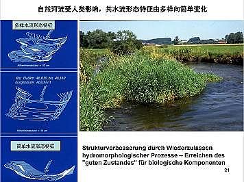 �Ϻ�ʯӢɰ�V�ϏS�ҵ��ӵ��Ľ���Ȼ�ޏ͌��`