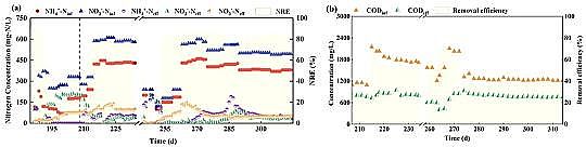 ���|̼Դ�S�����������ٟ��S�B�rҺ����������Ó��Ч�ܼ�΢����C���о�