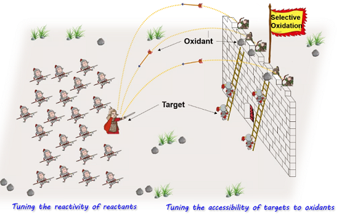 �ϺýY���Ȼ��X���a�S��̽ӑ�x��������ˮ̎�����g��ԭ�������Լ�����