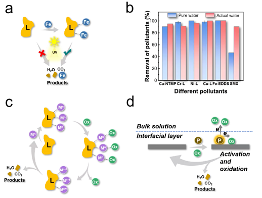 �ϺýY���Ȼ��X���a�S��̽ӑ�x��������ˮ̎�����g��ԭ�������Լ�����