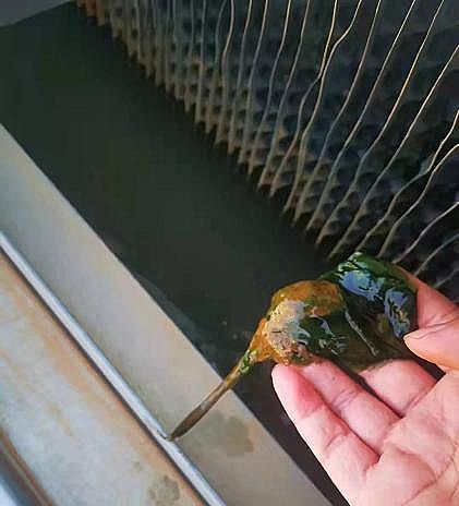 ��Ʒ�|(zh��)��������Ƭ�S�Ҕ�(sh��)��(j��)����ѭ�h(hu��n)ˮϵ�y(t��ng)��ؓ(f��)���\(y��n)�м�ͣ�C(j��)����Ҫ�c(di��n)