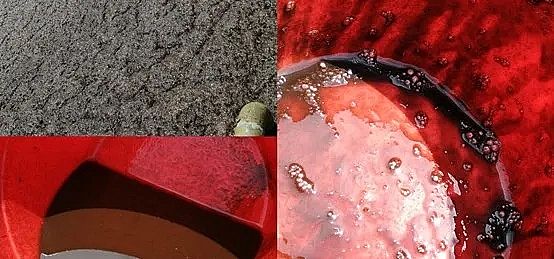 ��ʽ̼Դ���a(ch��n)�S�������c�q��4500!��ˮ�S��Μp��̼ԴͶ���������ͳɱ�?