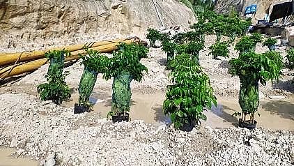 �๦�ܷ������͚��������a�S������h��������ˣ���ˮ̎��S��������ϵ�y���c�c��!