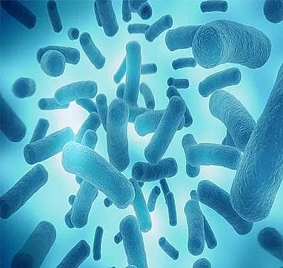 �Ϻ����w�W(w��ng)�����ϏS�ҿ��� | �P(gu��n)�ڳ���ˮ�㲻֪������Щ��...