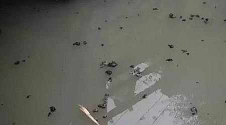 �ϵ���ˮñ���a�S�Ҹ�؛ | ˮ�|��ô���?