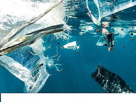 �������w�W�����ϏS���χ�����ˮ�YԴ�lչ��棺�Uˮ���µĺڽ���?