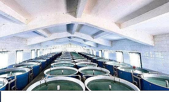 �������ʯ�V�ϏS�ҹ��S��ѭ�h(hu��n)ˮ�B(y��ng)ֳ���g(sh��)��B