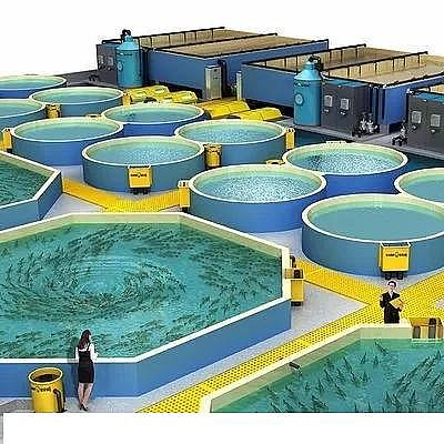 �������ʯ�V�ϏS�ҹ��S��ѭ�h(hu��n)ˮ�B(y��ng)ֳ���g(sh��)��B