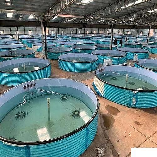 �������ʯ�V�ϏS�ҹ��S��ѭ�h(hu��n)ˮ�B(y��ng)ֳ���g(sh��)��B