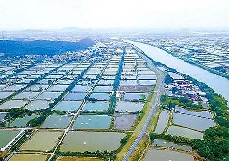 ȫ���Z��ʯ�V�ϏS���Bֳβˮ���팢�д����!�����ŷŘ˜ʌ��С������ơ�