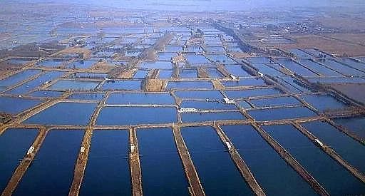 ȫ���Z��ʯ�V�ϏS���Bֳβˮ���팢�д����!�����ŷŘ˜ʌ��С������ơ�