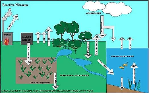 �����������ɽ�r�V�����a�S���@�N���w����Ч���Ƕ�����̼��300�����sһֱ������