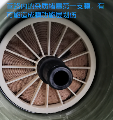 2022�ꇊ�F����ۺ������FSPFS���a(ch��n)�S�Ҽ{�V�ճ��S�o(h��)ע�����(xi��ng)