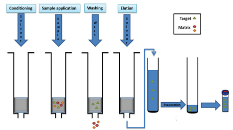 2022����ˮñ���a�S��ˮ����ʲô���W��11���ԁ�ˮ��������Ⱦ���{��
