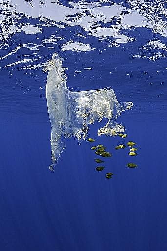 2022��Һ�渲�w��S���@�������������������׌���_����!