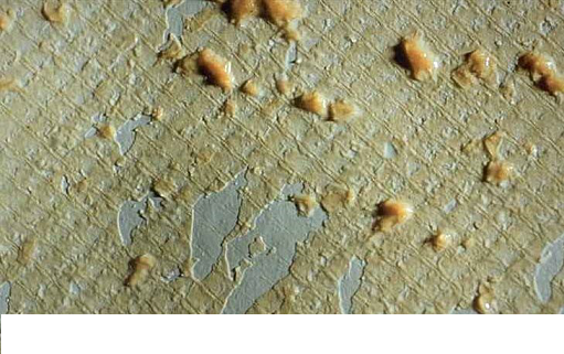 2022��4A���ӺY�r���@ƪС�ĸ��V�㣬��ɶ��ķ��B͸Ó�}���������aˮ����