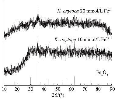 ��Ʒ�|��ĩ�۠����̿���a�S������V�����Ƃ�{�������F���䌦���׻��{������