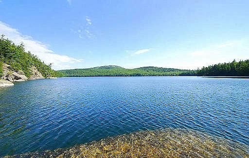 2022����������X��V�σr������800���죬���h(hu��n)����I(y��)�a(ch��n)���޴�Ӱ�!����һλ�h(hu��n)����I(y��)�ҵ�˼��