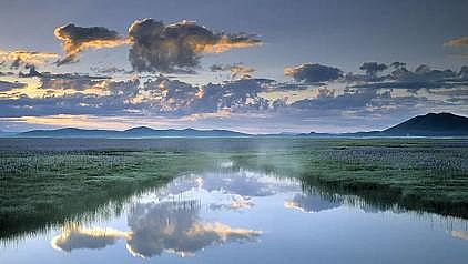 �๦�ܴ��F�V�V�����a�S�ҡ��^�c����β���äĿ�����ˮ̎��S��ˮ�˜�?